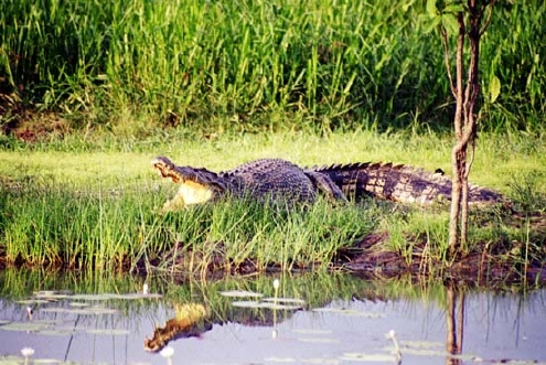 Kakadu national park